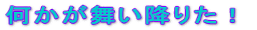 �����������~�肽�I
